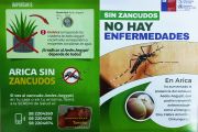 Campaña Arica Sin Mosquitos